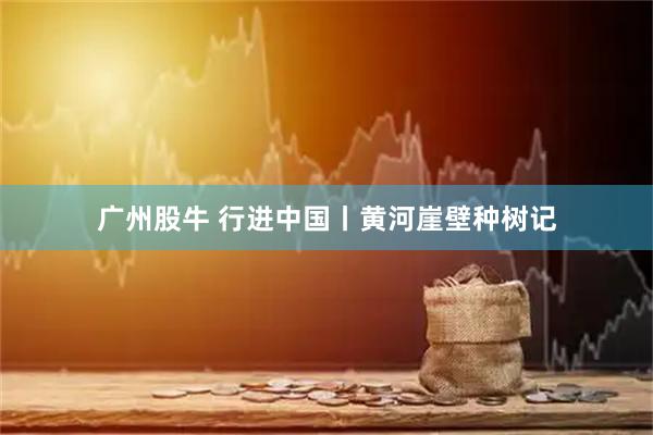广州股牛 行进中国丨黄河崖壁种树记
