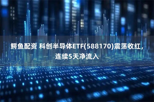 鳄鱼配资 科创半导体ETF(588170)震荡收红，连续5天净流入