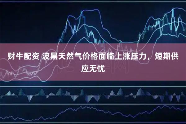 财牛配资 波黑天然气价格面临上涨压力，短期供应无忧